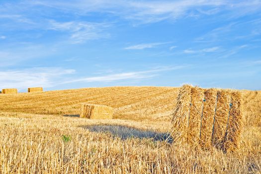 Hay bales in the fields from Portugal