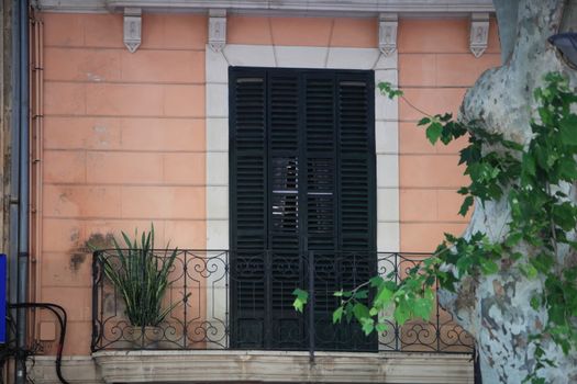 Wooden door and wrought iron balcony on the exterior wall of a painted stone building with an old tree growing alongside
