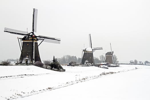 Historical windmills in the countryside from the Netherlands