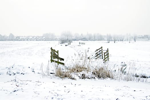 Snowy landscape in winter in the Netherlands