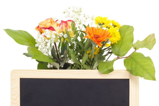 Beautiful vernal flowers behind blank blackboard