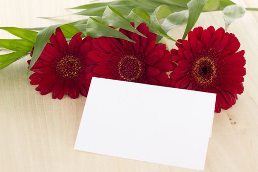 Wishing Happy Birthday with these beautiful red gerberas