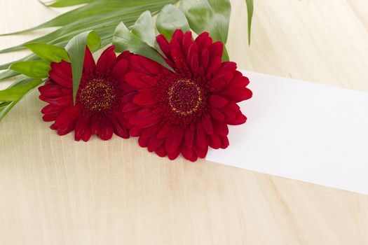 Two red gerberas with card on wooden background