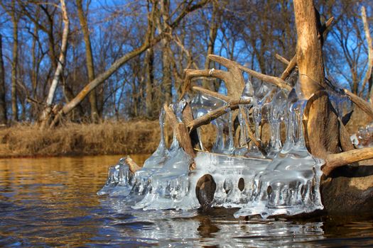 Natural ice sculptures along the Kishwaukee River in northern Illinois.