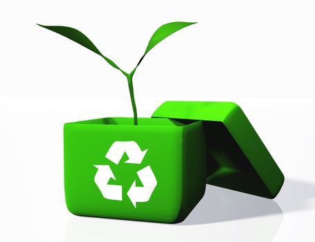 a small plant with two leaves is growing into a green uncovered box with a white recycling symbol printed on its front side, on a white background.