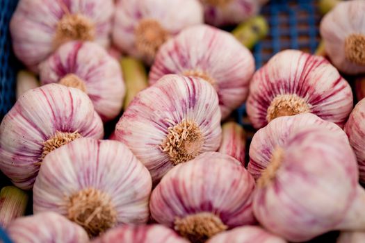 group of purple white garlic in basket macro on market outdoor