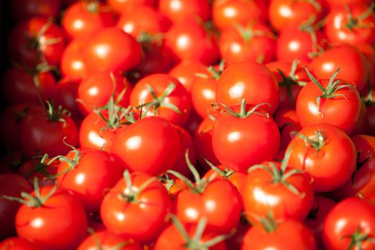 tasty fresh red tomatoes on market outdoor in summer
