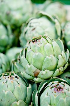 fresh green artichokes macro closeup on market outdoor summer