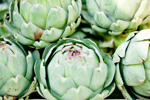 fresh green artichokes macro closeup on market outdoor summer