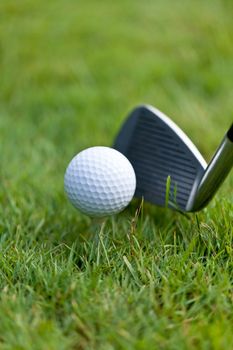 golf ball and iron on green grass detail macro summer outdoor playing golf 