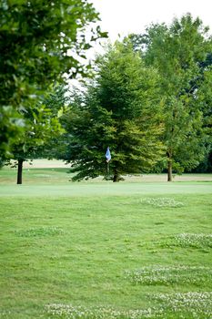 beautiful park geen grass and trees background copyspace nature summer season