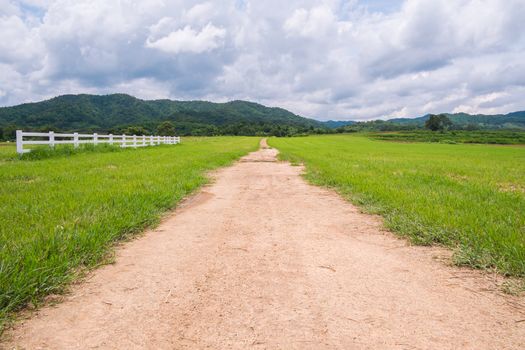 Dirt road in farm field with overcast sky