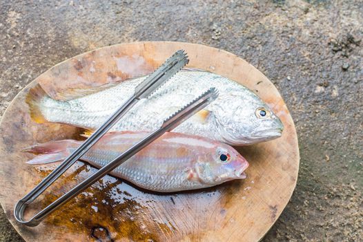 Fresh fish on the chopping block.