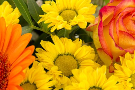 Cutout of beautiful and colorful bouquet