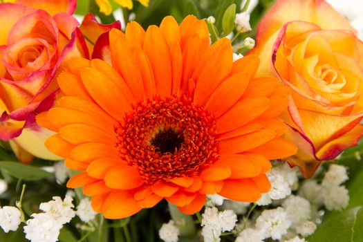 Beautiful gerbera and roses in colorful bouquet