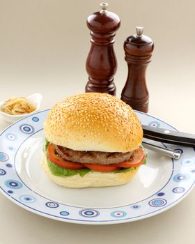 Freshly cooked hamburger with fried onions and a sesame seed roll.