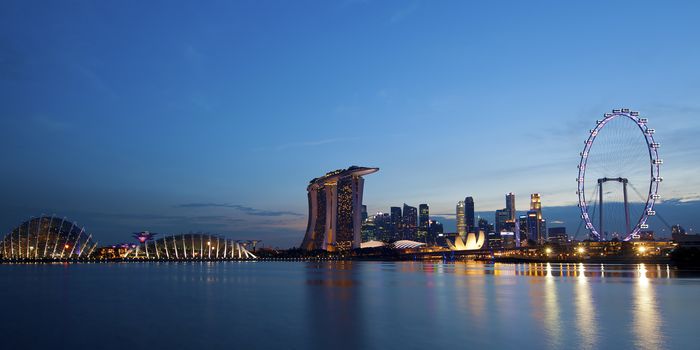 View of Singapore city skyline at night