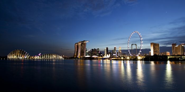 View of Singapore city skyline at night