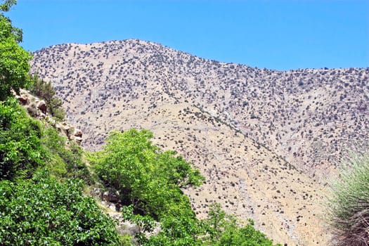 Beautiful view of mountains in sunny day
