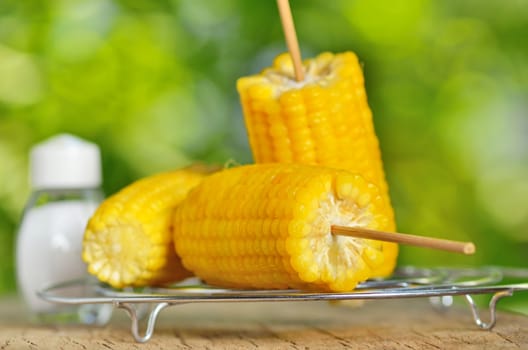 corn boiled on metal support
