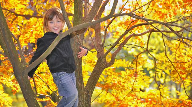 girl hanging from a tree in autumn time