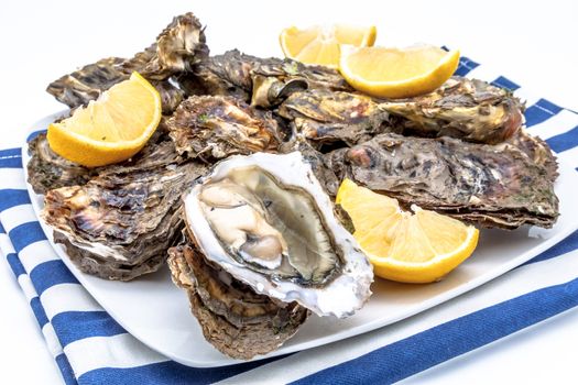 Lots of oysters on a dish with lemon