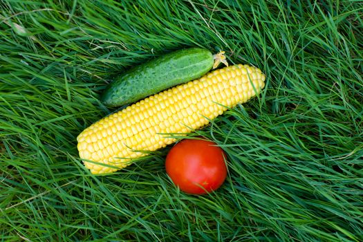 vegetables on the green grass