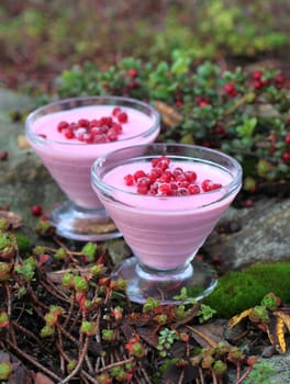 Fresh and sweet cranberry dessert in natural autumn setup