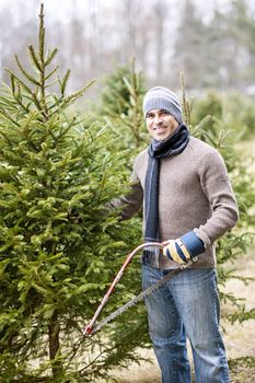 Man with saw choosing fresh Christmas trees at cut your own tree farm