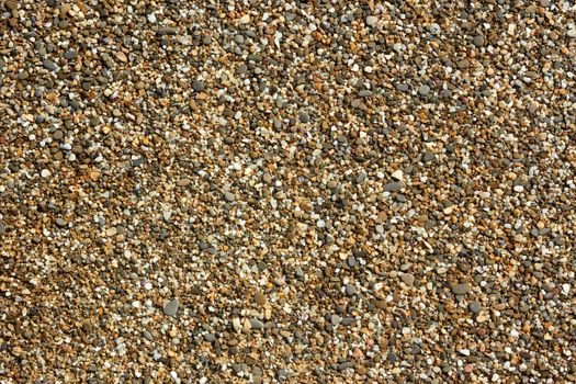 Fragment of beach pebble with small colored pebbles, stones and shells detail close-up in bright sunlight