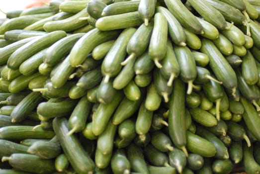 Cucumbers bunched together for sale at market, good as a background