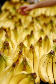 Bunch of ripe bananas at a street market