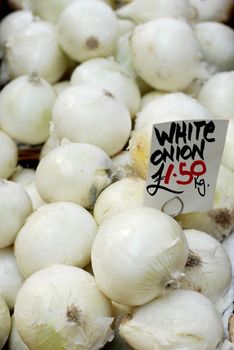Fresh white onions for sale priced at 1.50 euro per kg