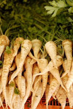 Whole raw parsnips for sale in a marketplace