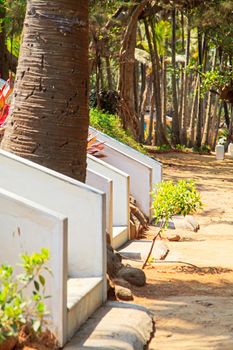 Vertical color portrait of a row of stairwells leading to tropical cottages along a soft standing footpath lined with coconut palm trees. Generic image shot in Bombay India