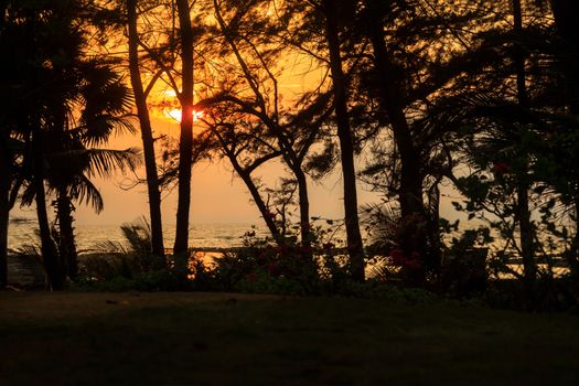 Generic, horizontal color landscape of a sunset and horizon line through silhouetted trees over the Arabian Sea captured in Bombay India