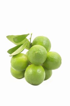 Fresh organic bunch limes isolated on white background.