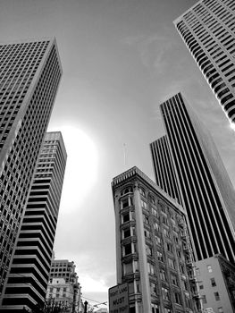 Skyscrapers in downtown