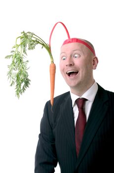 self motivation of dangling a carrot on a stick isolated on white