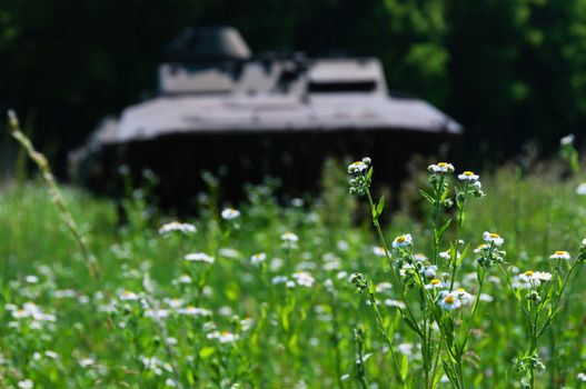 Abandoned military transport in green peace fields. 