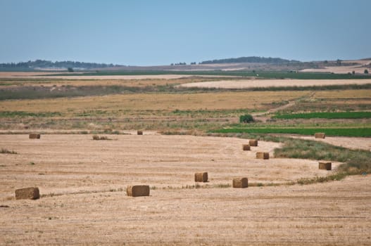 Summer field farm in the countryside filled with straw bales.  Israel .