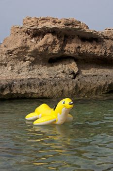 Inflatable yellow sea dog in the sea