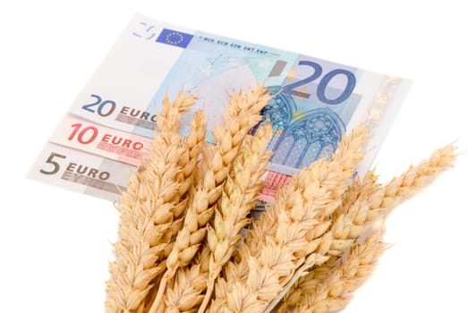 wheat ripe harvested ears with euro money banknotes isolated on white. agriculture business industry concept.