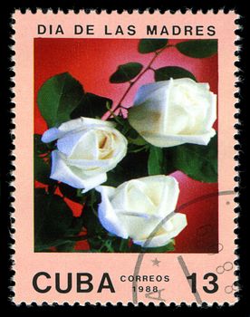 CUBA - CIRCA 1988: A post stamp printed in Cuba divided to Mother's Day and shows  rose , circa 1988