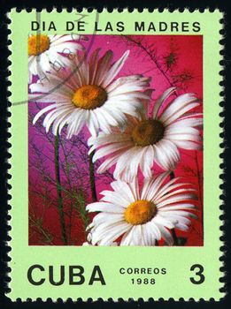 CUBA - CIRCA 1988: A post stamp printed in Cuba divided to Mother's Day and shows  Chamomile , circa 1988