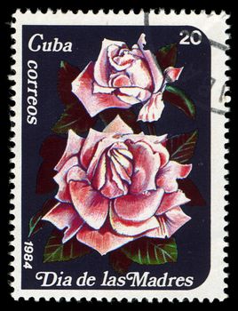 CUBA - CIRCA 1984: A post stamp printed in Cuba divided to Mother's Day and shows  rose , circa 1984