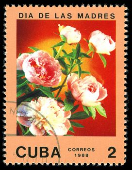 CUBA - CIRCA 1988: A post stamp printed in Cuba divided to Mother's Day and shows  rose , circa 1988