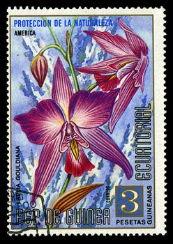 EQUATORIAL GUINEA - CIRCA 1974: A stamp printed in Equatorial Guinea shows Laelia Gouldiana, series is devoted to flowers, circa 1974