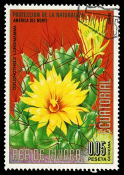 EQUATORIAL GUINEA - CIRCA 1974: A stamp printed in Equatorial Guinea shows Dolichothele Longimamma, series is devoted to flowers, circa 1974
