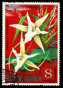 EQUATORIAL GUINEA - CIRCA 1974: A stamp printed in Equatorial Guinea shows Angraecum sesquipedale or Christmas orchid, series is devoted to flowers, circa 1974